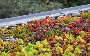 the cost of Stow Maries green roof installation