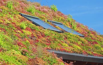 Stow Maries living roof systems